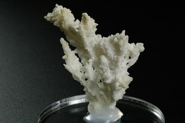 Intricate, Fluorescent Aragonite Formation - Nevada #349543